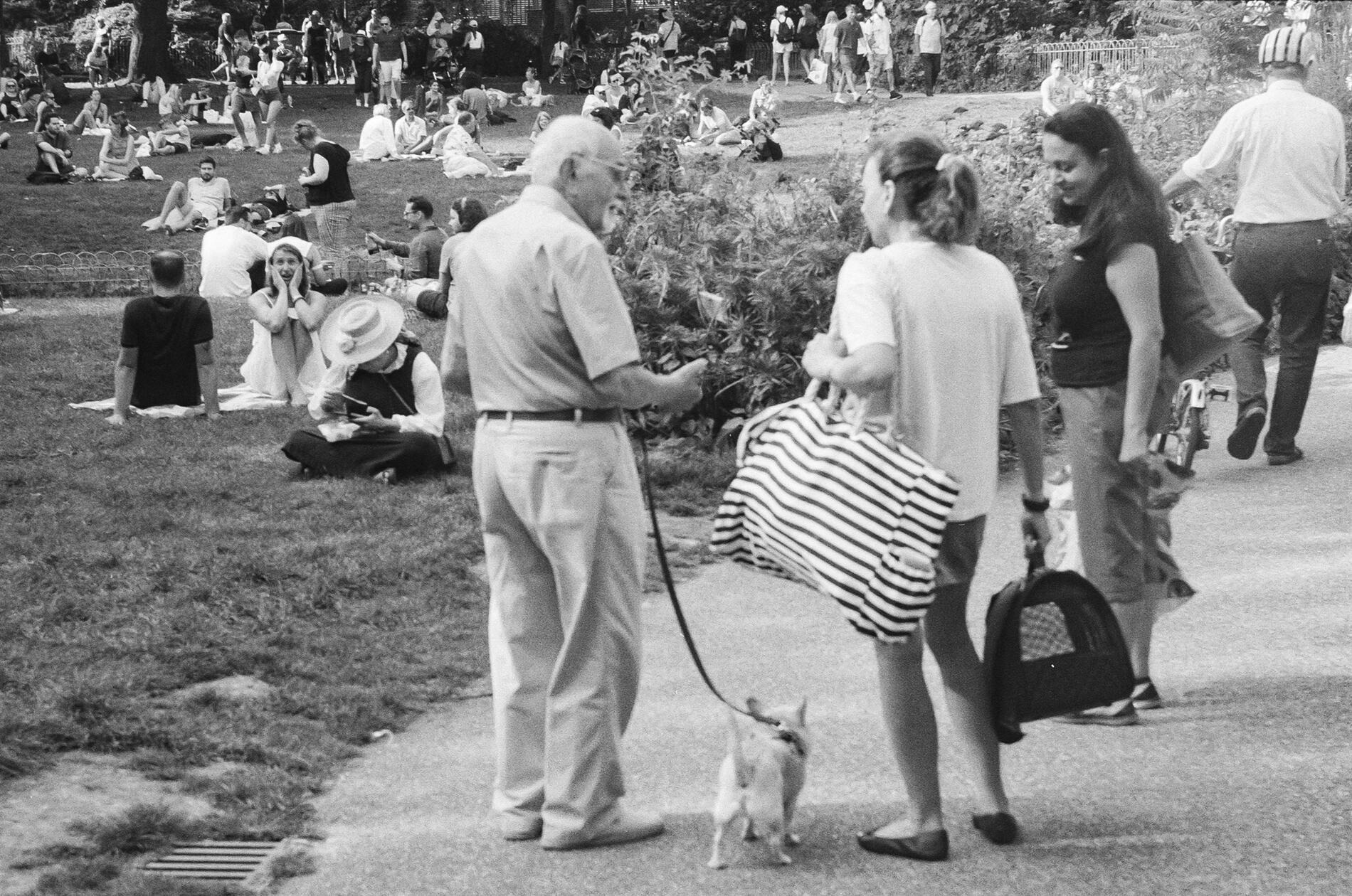 Surprised in the park